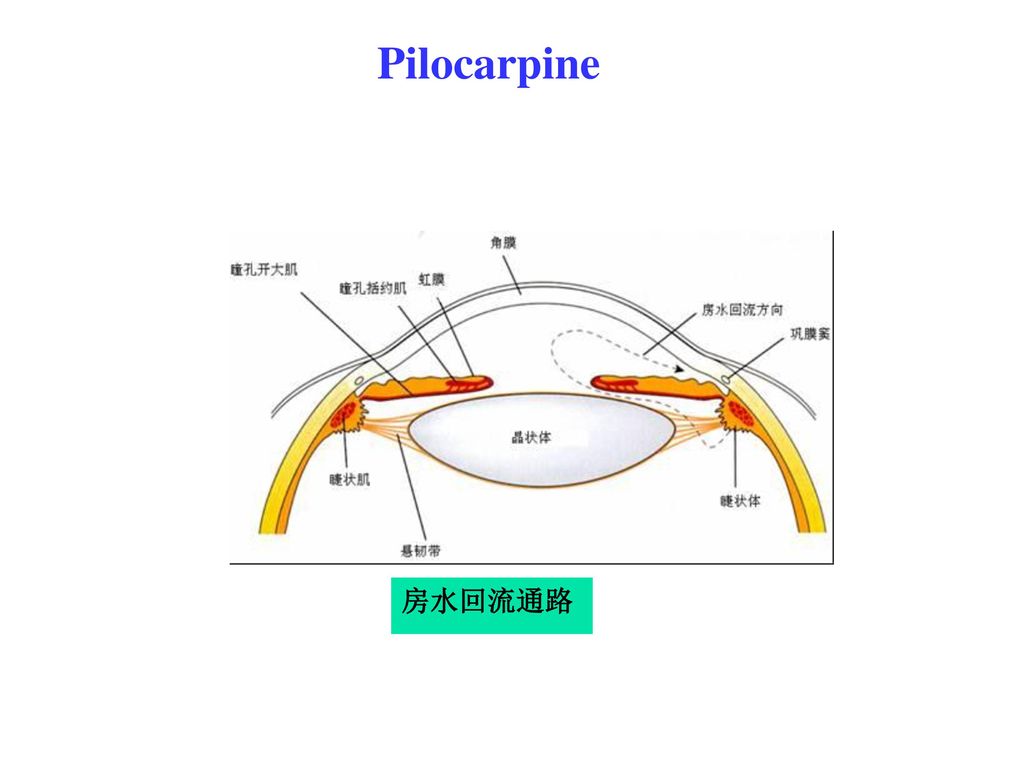 ﹋豩)灦'